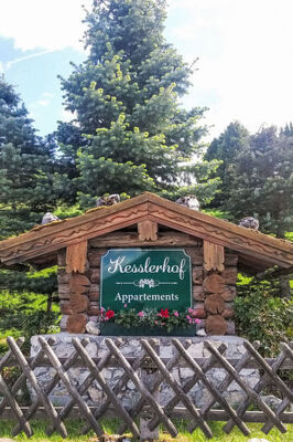 Dachstein - Photo 20