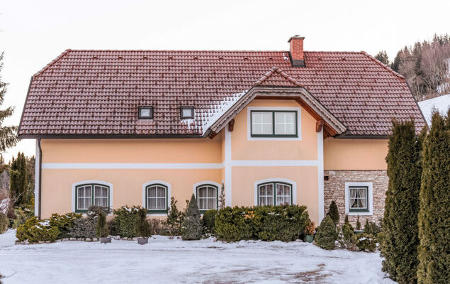 Dachstein - Photo 25