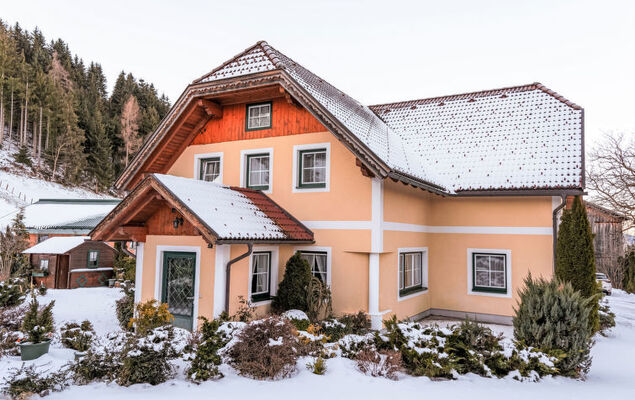 Dachstein - Photo 27