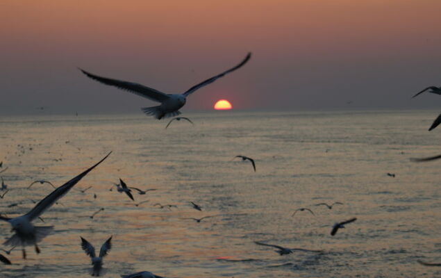 Fischer sien Huus - Photo 37