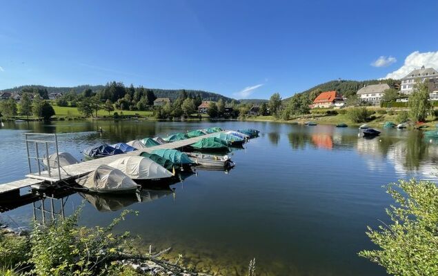 Habsmoosbach - Photo 44