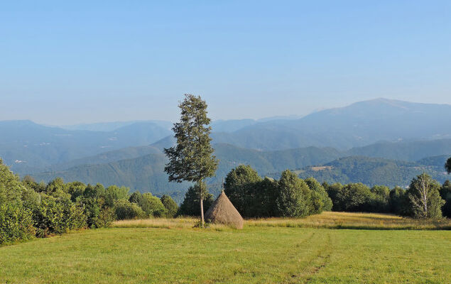 delle Maschere - Photo 46