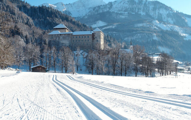 Mooslehen - Photo 33