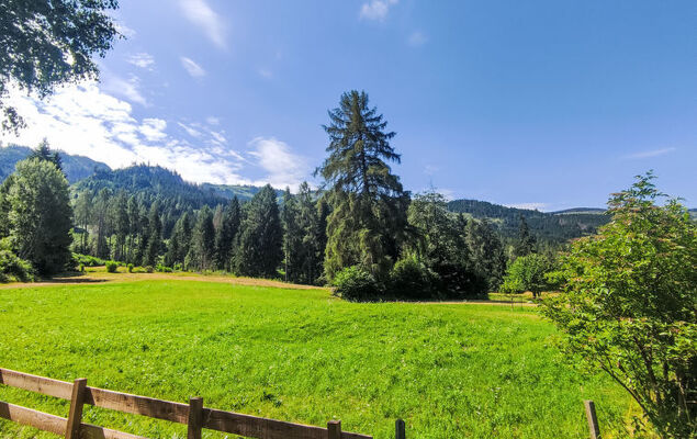 Altavista - Photo 35