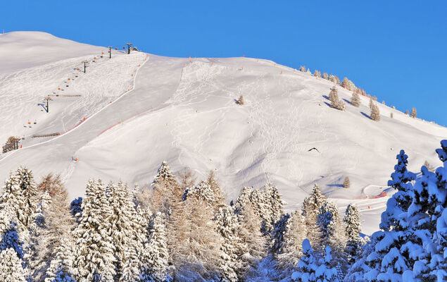 Altavista - Photo 90