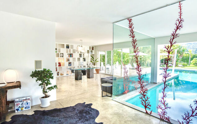 Re di Denari - Photo 3