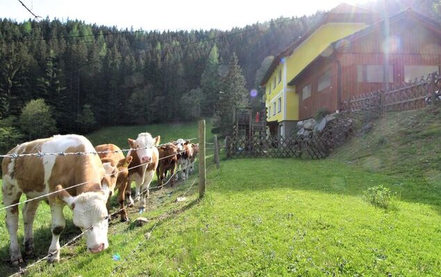 Krechen Alm - Photo 6