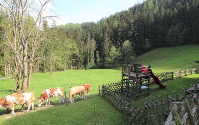 Krechen Alm - Photo 37
