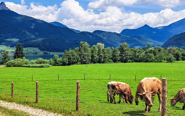 Wohnung Garten 2 Seeblick - Photo 2