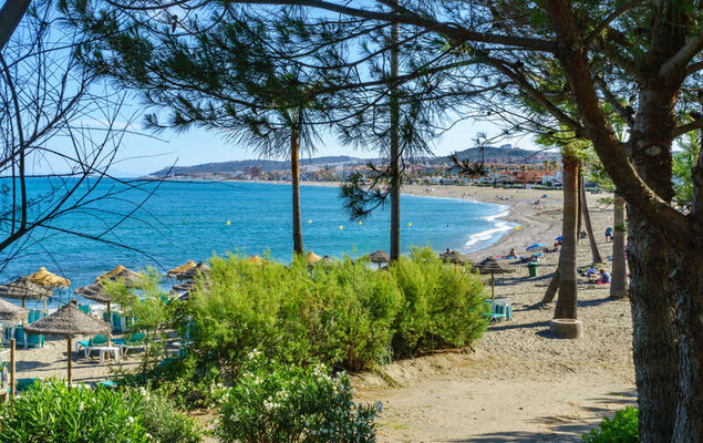 Sea View Marina del Castillo - Photo 34