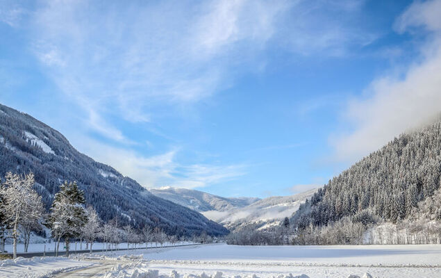 Haus Hilda - Photo 49