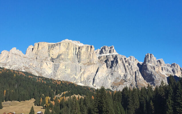 Cesa Galadriel - Photo 33