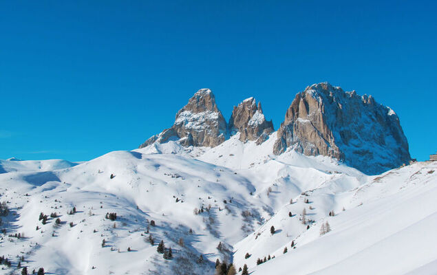 Cesa Galadriel - Photo 34