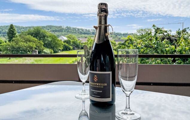 Weinbergblick - Photo 6