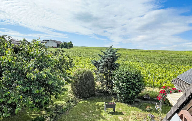 Weinbergblick - Photo 7